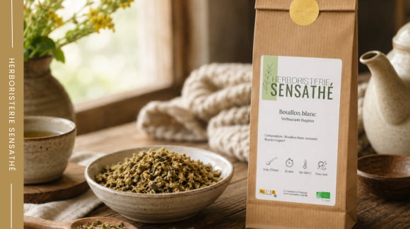 Bouillon-blanc  en vrac avec sachet d’herboristerie et fleurs séchées pour infusion contre la bronchite - Herboristerie Sensathé